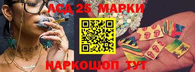 прущие грибы Кингисепп