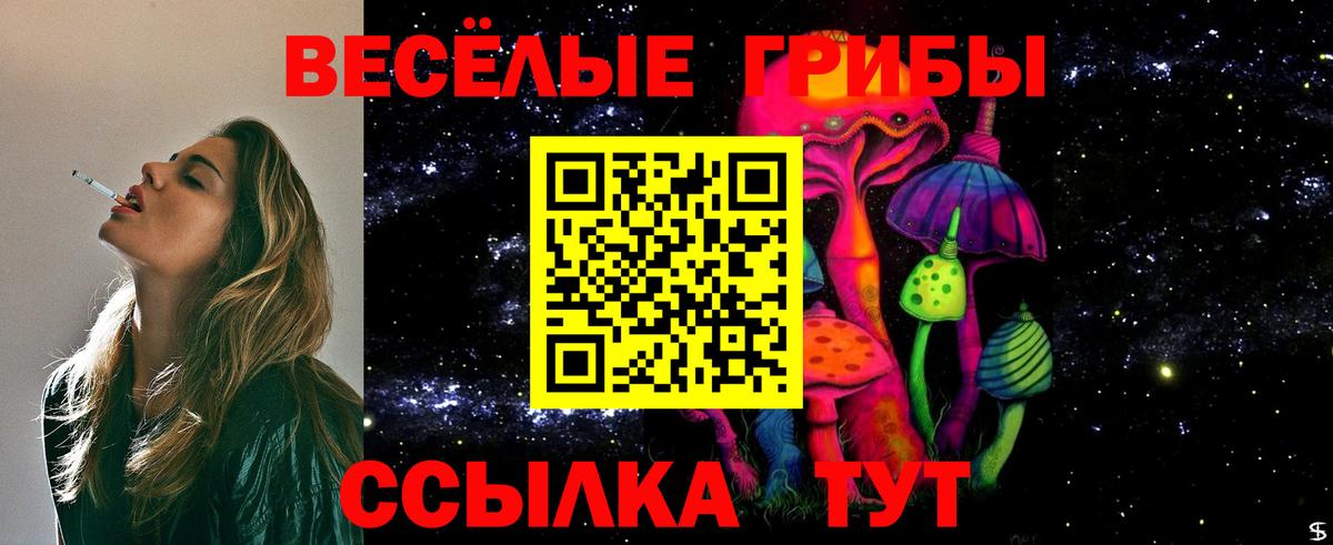 Галлюциногенные грибы GOLDEN TEACHER Энгельс